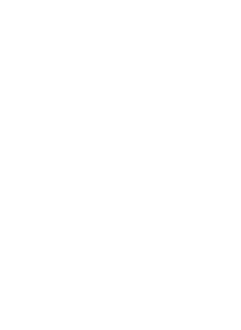 Lonia AI logo